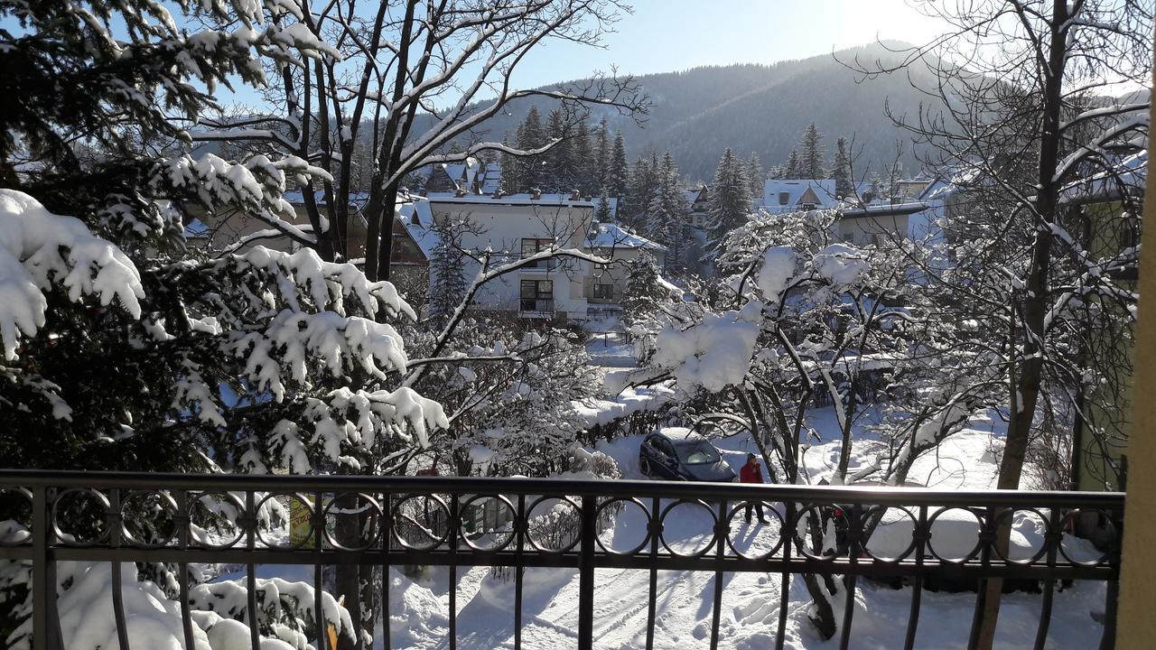 Willa Iskra Zakopane Exterior foto