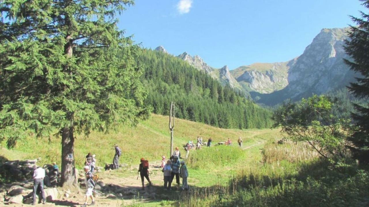 Willa Iskra Zakopane Exterior foto